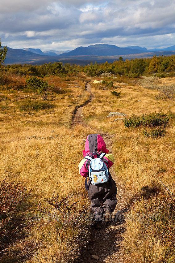 På vei ned fra Syni i Nord-Aurdal.