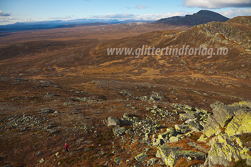 På vei opp mot Søre Langsua fra vest. I bakgrunnen til høyre ses bl.a. Skaget (1686 moh).