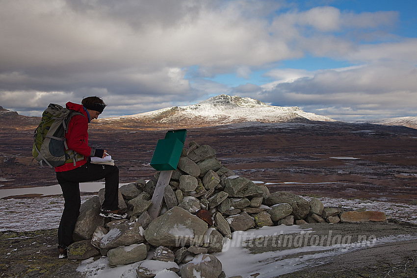 På toppen av Kjølafjellet (1225 moh) med Skaget (1686 moh) i bakgrunnen.