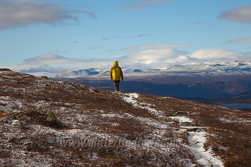 På vei fra Kjølefjellet mot Heimre Kjølastølen.