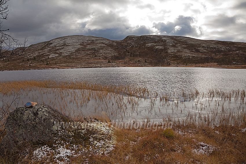 I Rauddalen, mellom Kjøla- og Gravfjellet i Øystre Slidre. Her med Gravfjellet (1173 moh) i bakgrunnen.