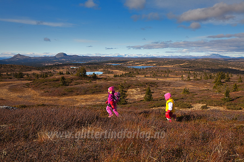 Små fjellvandrere på toppen av Goaren (1070 moh) i Etnedal. I bakgrunnen bl.a. Skarvemellen, Rundemellen, Jotunheimen og Skaget.