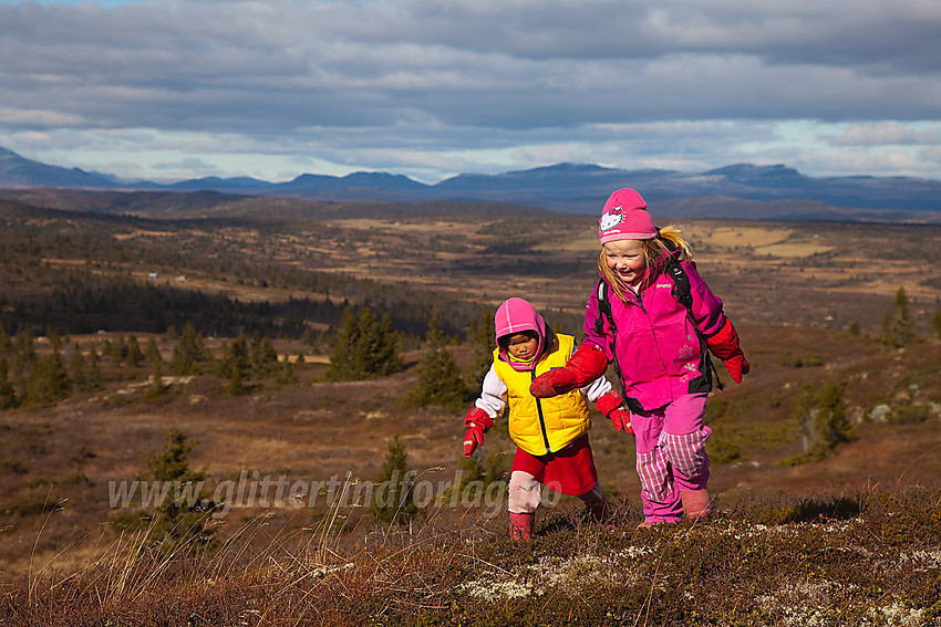 I farta! Ivrige unge fjellvandrere like ved toppen på Goaren (1070 moh). I bakgrunnen anes konturene av bl.a. Søre Langsue.