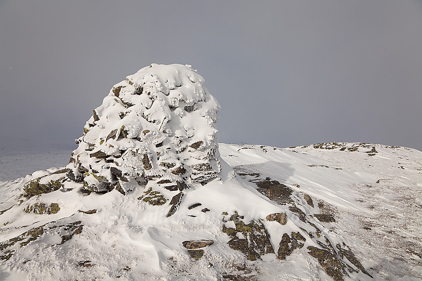 Toppen på Skørsnøse (1453 moh) rett opp for Tyinkrysset.