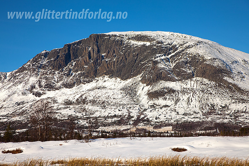 Skogshorn (1728 moh) fra sørøst.