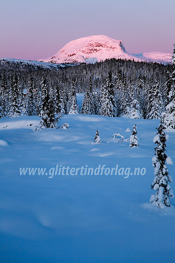 Like ved Siglovatnet, i den såkalte "Grøslirunden" en desembermorgen. Rundemellen (1345 moh) i bakgrunnen.