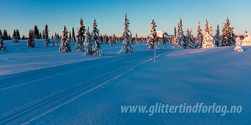 I skiløypa mellom Juvike og Dalen med Rundemellen i bakgrunnen.