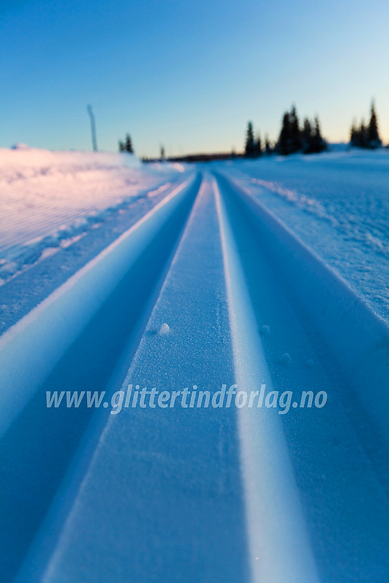 Skispor mellom Juvike og Dalen i Nord-Aurdal.