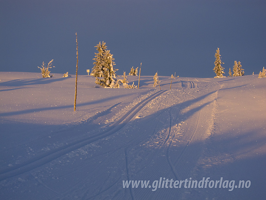 På Skardåsen (1071 moh), en metet populær skitur med normalt meget flott preparerte spor.