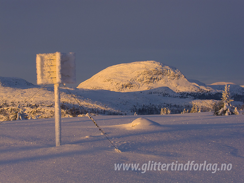 På toppen av Skardåsen (1071 moh) med Rundemellen (1345 moh) en desemberettermiddag.