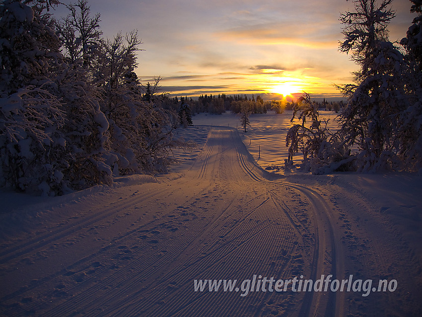 Parti av Skardåsenløypa i Nord-Aurdal i solnedgang en desemberettermiddag.