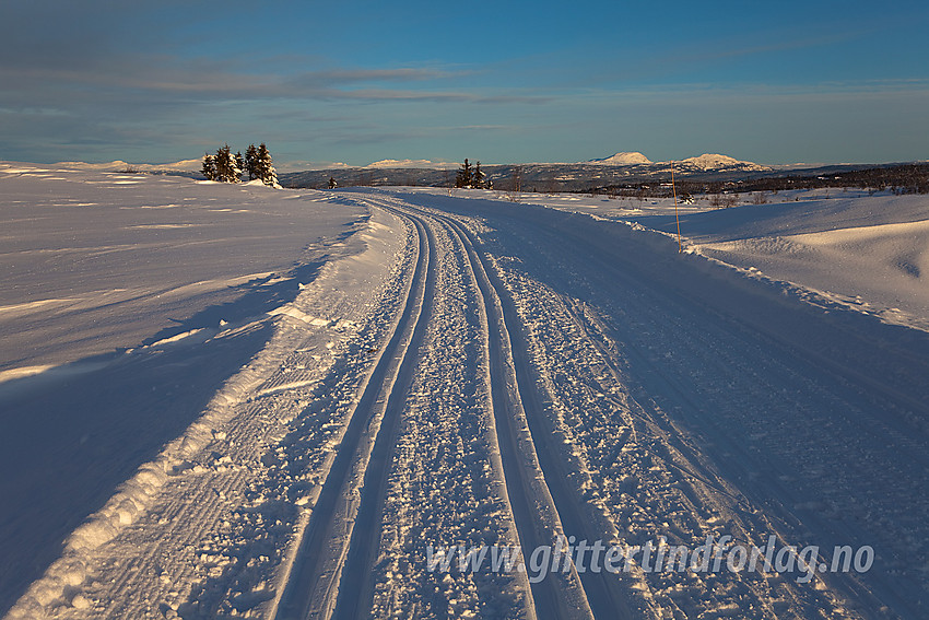 I en av løypene mellom Gomobu og Valtjernstølan. I bakgrunnen ses Rundemellen og Skarvemellen.