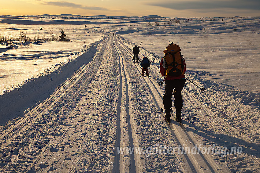 På vei ned en liten utforbakke i løypa mellom Gomobu og Valtejdnstølan i Nord-Aurdal, like ved Vaset.