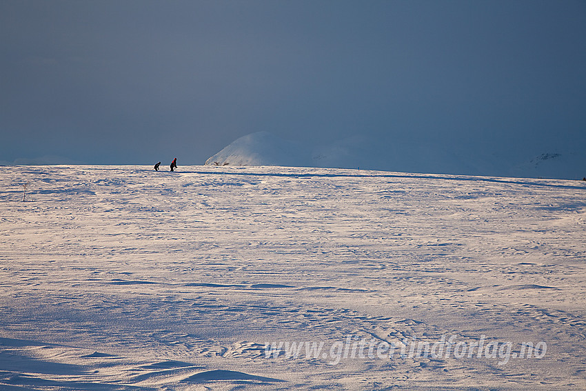Skiløpere i løypenettet nær Vaset. I bakgrunnen spesiell stemning over Skogshorn.