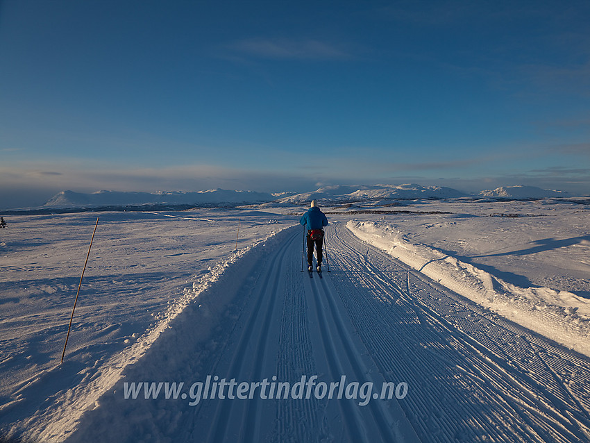 Skiløper i fint driv over Selegge, ikke så langt fra Syni, i skiløypenettet ved Vaset. Utsikten er upåklagelig her oppe, her mot fjellene rundt Storfjorden med Skogshorn helt til venstre.