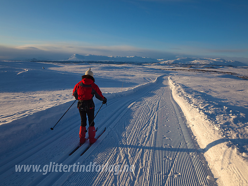 Skiløper i fint driv over Selegge, ikke så langt fra Syni, i skiløypenettet ved Vaset. Utsikten er upåklagelig her oppe, her mot fjellene rundt Storfjorden med Skogshorn helt til venstre.