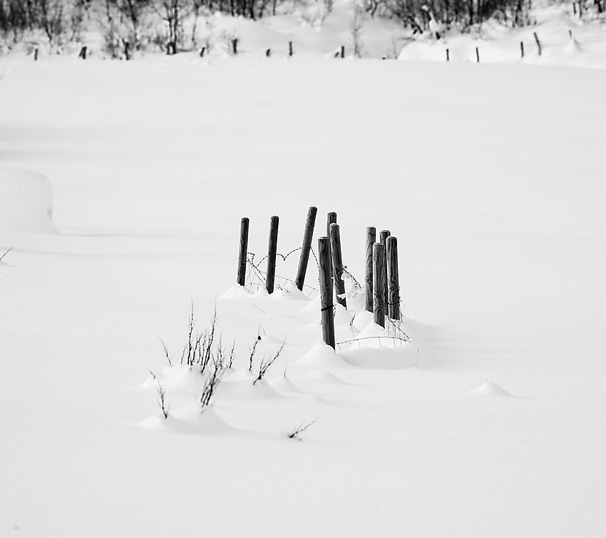 Stolper i snø