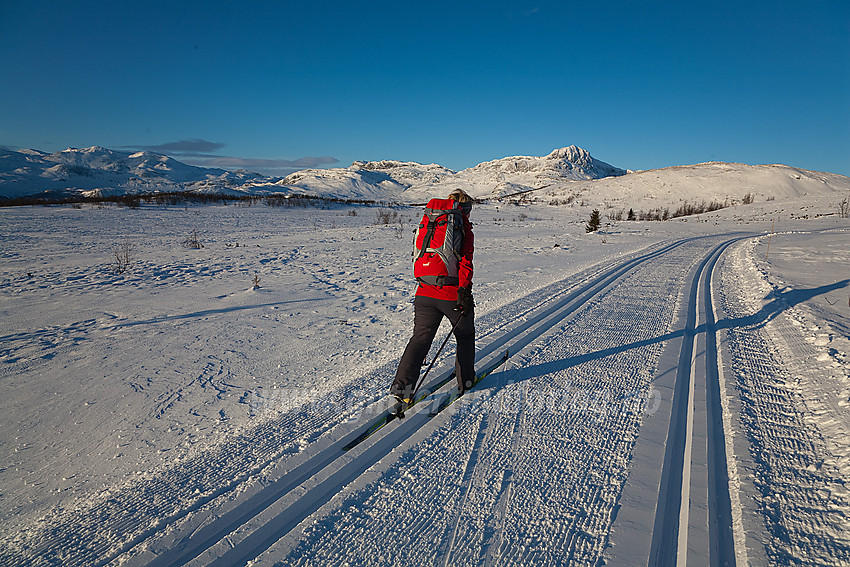 På skitur i rødløypa på Beitostølen, ikke langt fra Knausehøgdene, med bl.a. Bitihorn og Mugnetinden i bakgrunnen.