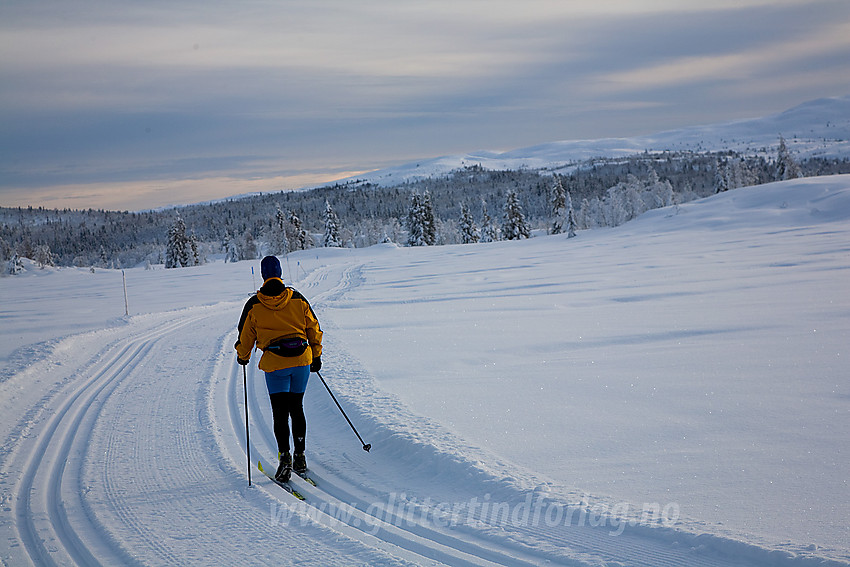 I løypenettet til Kruk og Aurdal løypelag like ved Tveitastølen med Smørlifjellet i bakgrunnen.