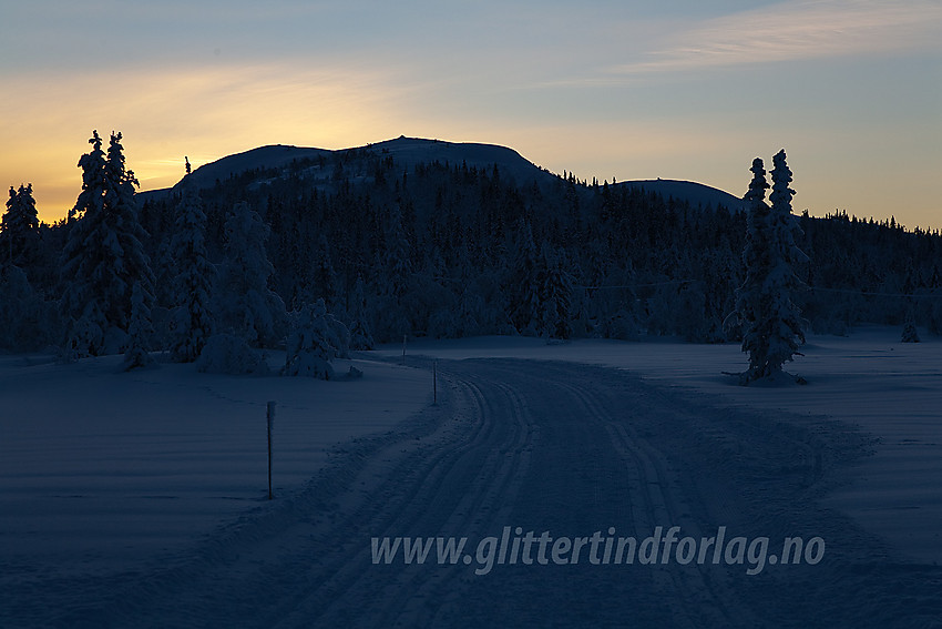 Skiløype like øst for Aurdal Fjellpark, i løypa mot Bjørgovarden.