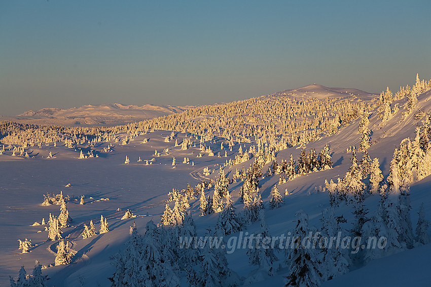 På vei mot Bjørogvarden med utsikt tilbake med Vennisfjellet i det fjerne.