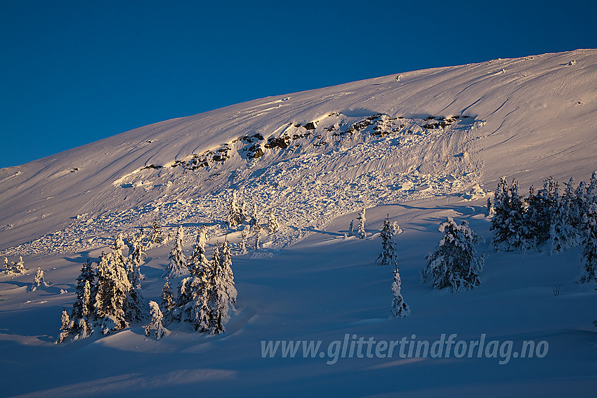 Snøskred fra den nordvestlige naboen til Bjørogvarden.