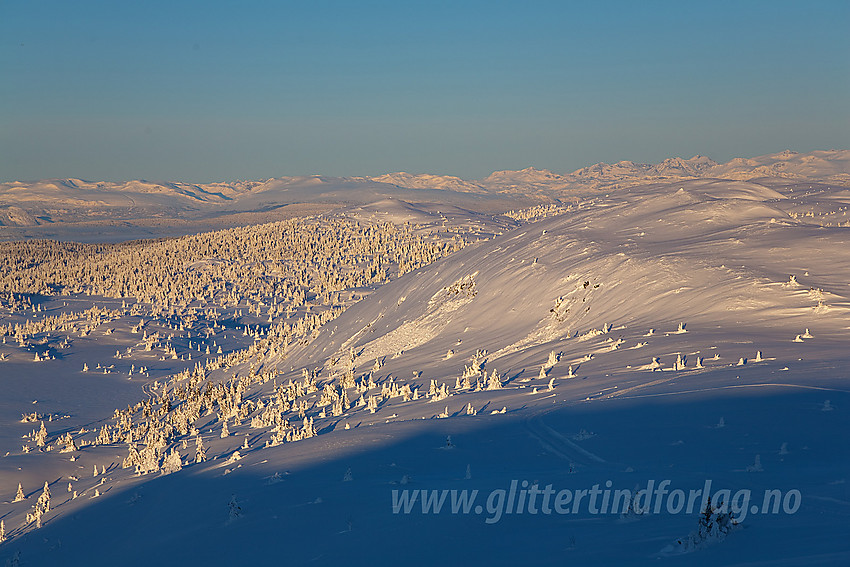 Fra Bjørgovarden med utsikt nordvestover mot bl.a. Jotunheimen (bak til høyre).