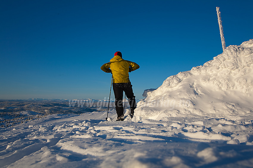 Ved Bjørgovarden (1138 moh), et populært turmål sommer som vinter.