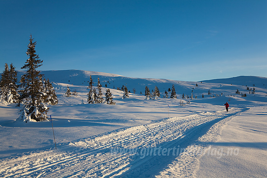 Oppunder Smørlifjellet med toppen (1160 moh) i bakgrunnen.