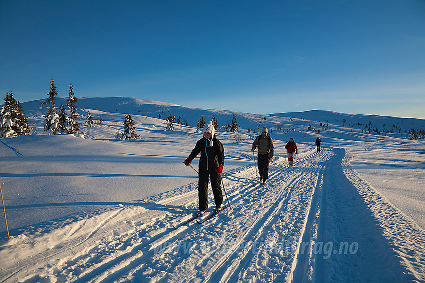 Skiløpere på flate nedenfor Smørlifjellet i Nord-Aurdal med toppen (1160 moh) bak til venstre.