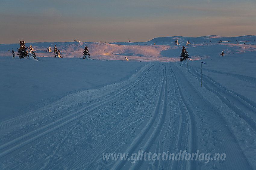 I løypenettet til Kruk og Aurdal løypelag på den såkalte Smørlirunden, ikke langt fra Smørlitoppen.