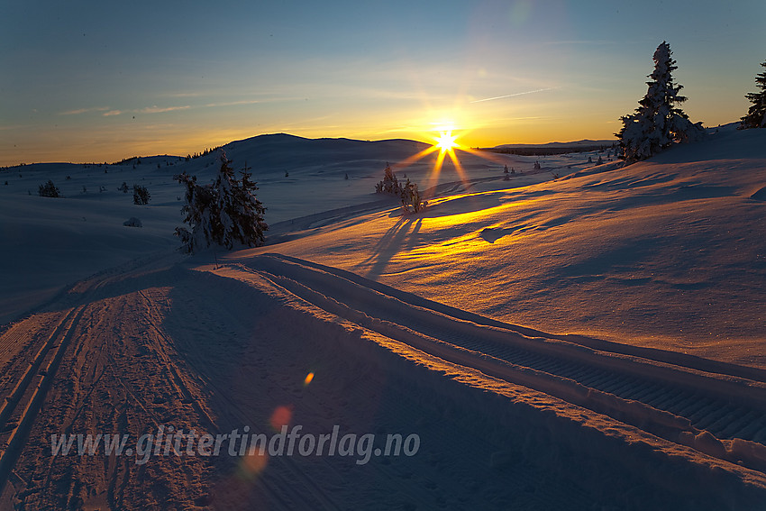 I Smørlirunden med Binnhovdknatten (1165 moh) i bakgrunnen.