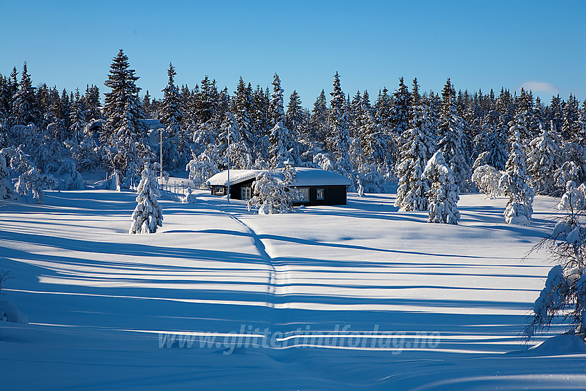 Hytte på Aurdalsåsen.