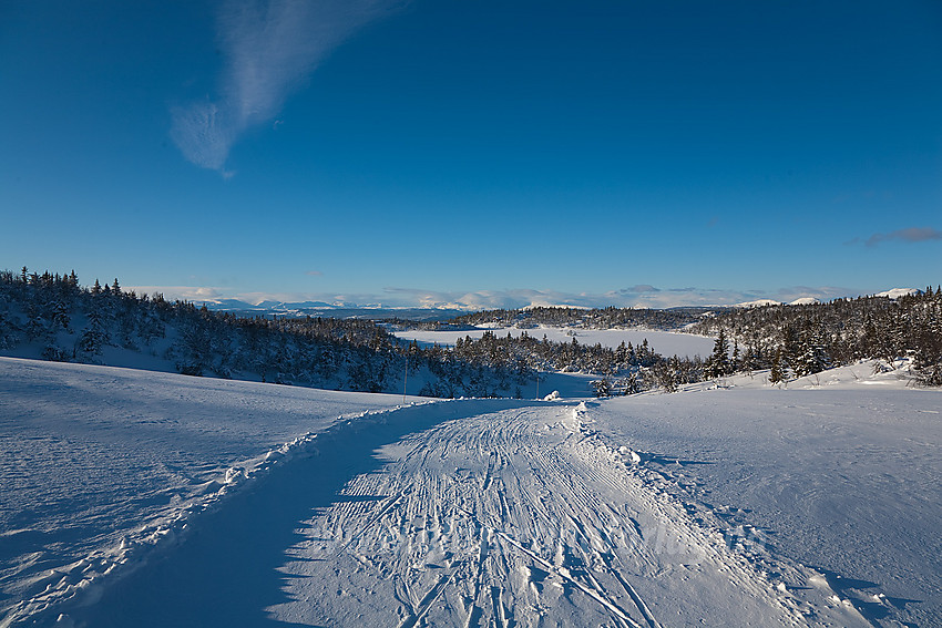 I løypenettet til Kruk og Aurdal løypelag med Fræningen, en innsjø like ovenfor Danebu, i bakgrunnen.