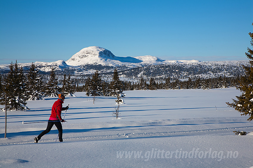 I Tansbergrunden, ikke langt fra Vinjaråsen, med Rundemellen (1345 moh) i bakgrunnen.