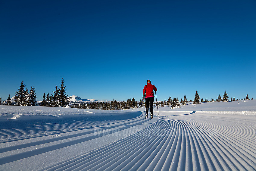 Nypreparert skiløype like ovenfor Dalen parkering på Tansbergrunden.