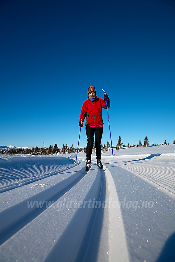 "Nystøpt" skispor i Tansbergrunda, en del av løypenettet til Leirin Skiløyper.