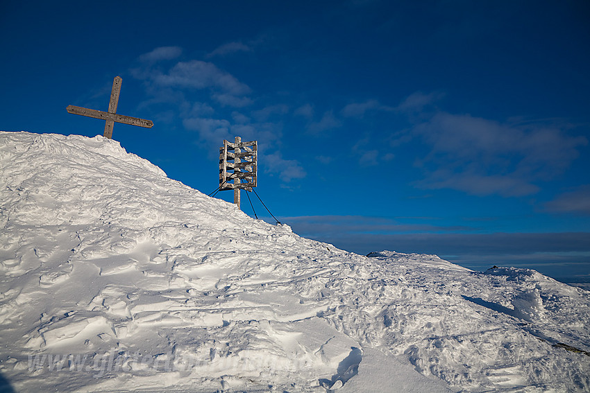 På toppen av Skogshorn (1728 moh).