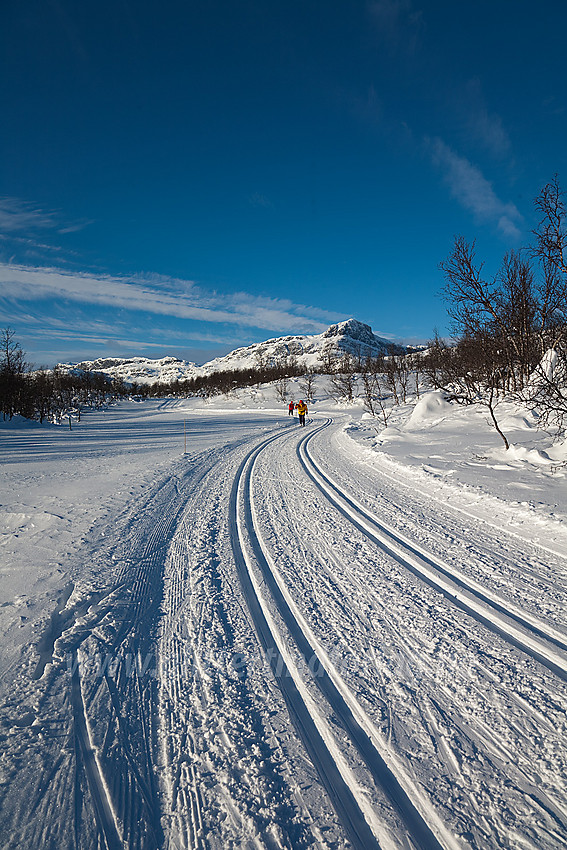 I skiløypenettet på Beitostølen med landemerket Bitihorn (1607 oh) i bakgrunnen.