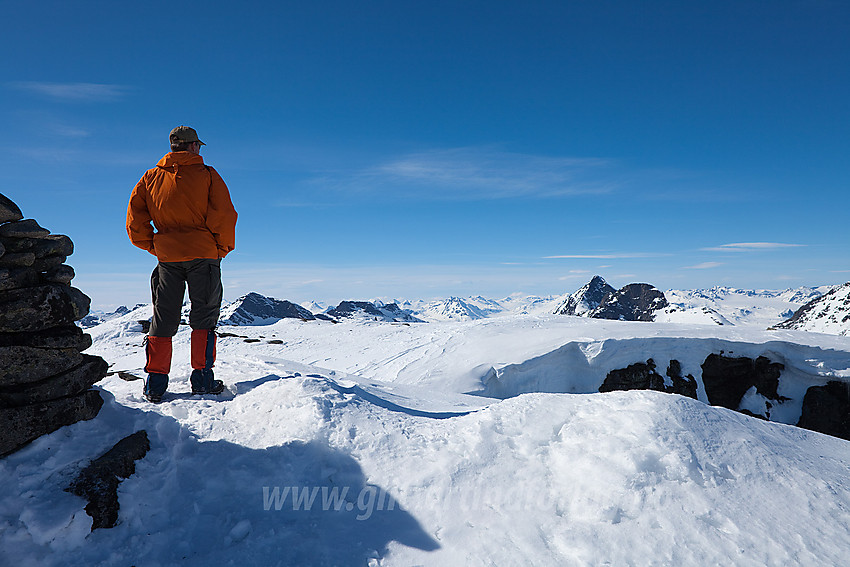 Utsikt fra Vestre Kalvehøgde (2208 moh) i nordvestlig retning.