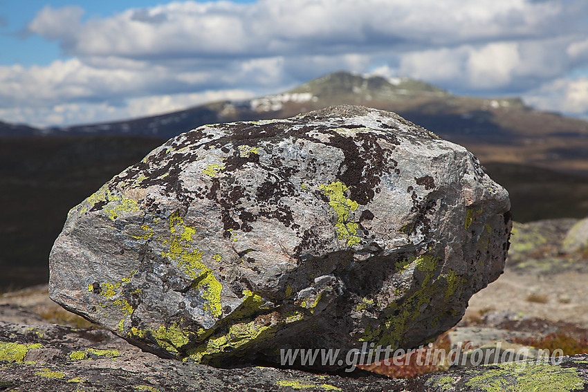 Stein på Gravfjellet i Øystre Slidre. I bakgrunnen aner man profilen til Skaget.