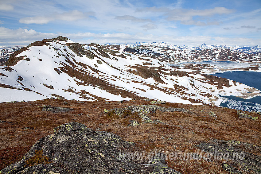 Øst for Horntinden mot toppen (1454 moh).