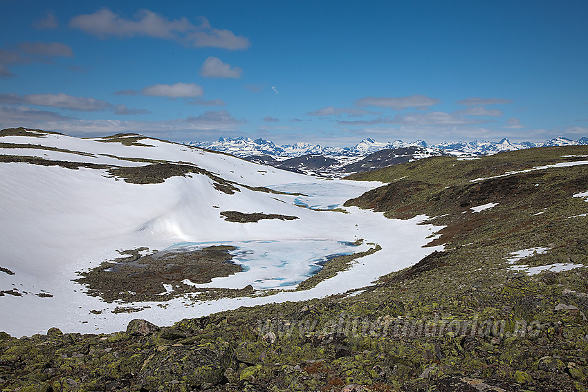 På toppen av Skutshorn mot Nordlandstjernet med Jotunheimen i bakgrunnen.