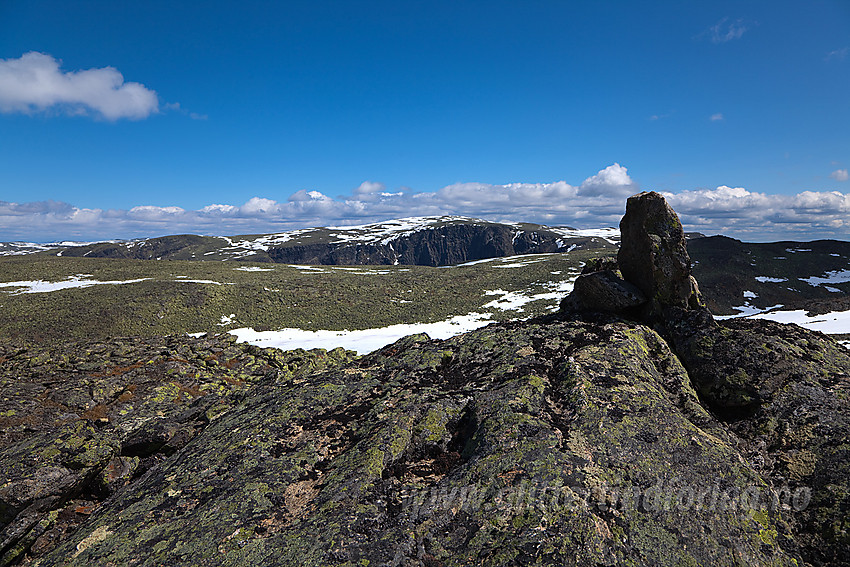 På toppen av Skutshornmassivet med Vennisfjell i bakgrunnen.