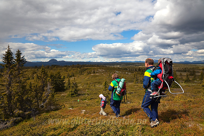 På vei ned fra Goaren mot Klokkarlie i Etnedal. I bakgrunnen ses bl.a. Rundemellen og Jotunheimens snødekte tinder.