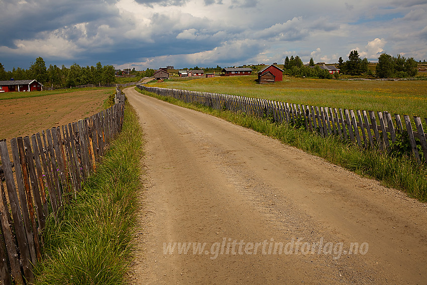 Ved Tyrisholt på Stølsvidda i Nord-Aurdal kommune.