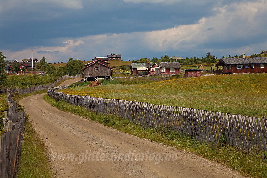 Ved Tyrisholt på Stølsvidda i Nord-Aurdal kommune.