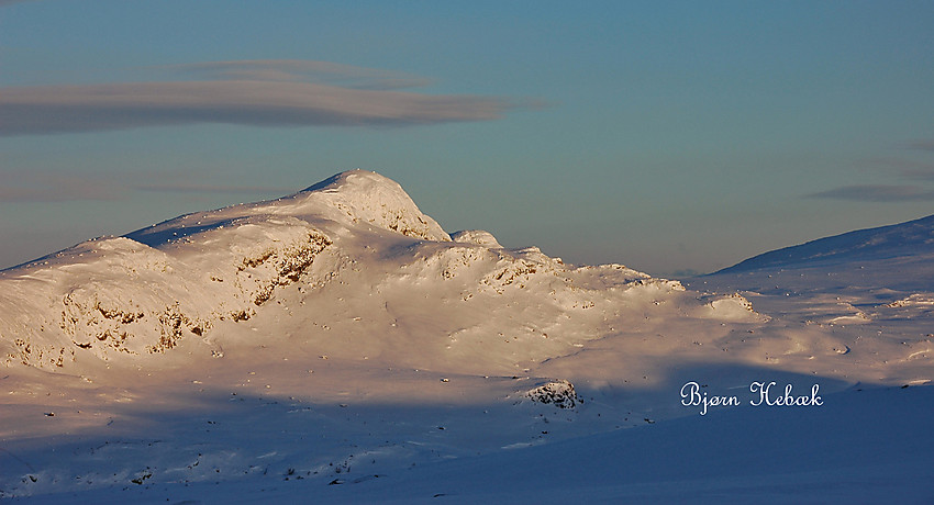 Brurskardknappen i morgensol.  1458 moh