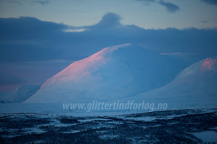 Mot Skogshorn en vintermorgen.