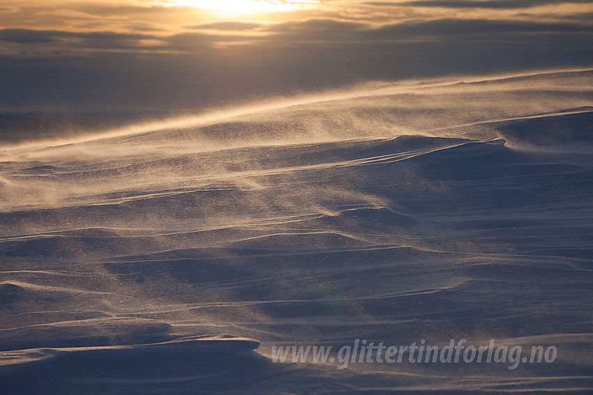 Vinden pisker snøen over flatene like sør for Grønsennknipa i Vestre Slidre en januarmorgen.